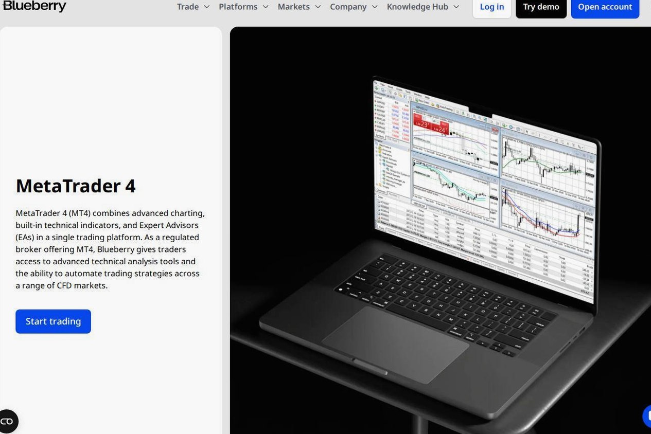 The platform page on the Blueberry Markets website